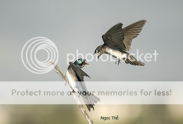 UserPostedImage