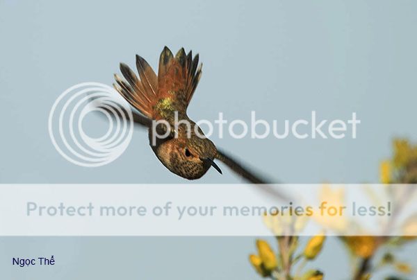 UserPostedImage